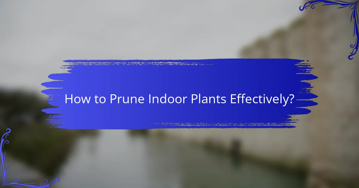 How to Prune Indoor Plants Effectively?