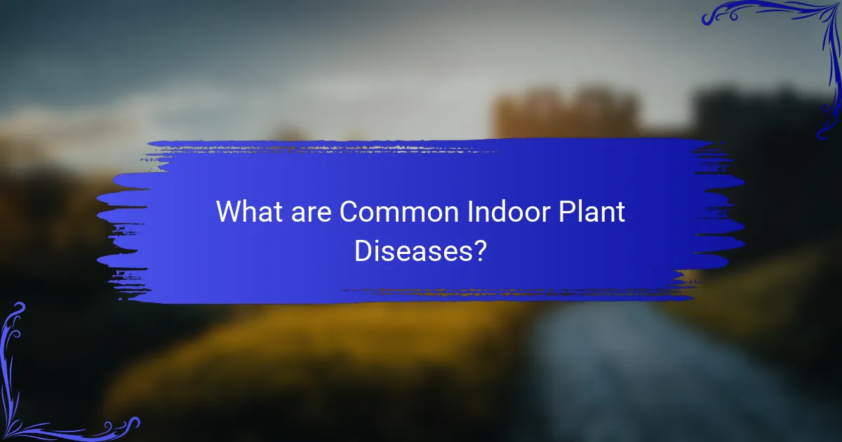 What are Common Indoor Plant Diseases?