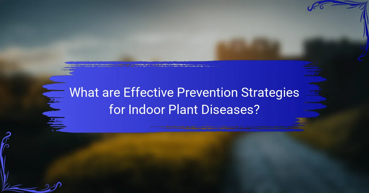 What are Effective Prevention Strategies for Indoor Plant Diseases?