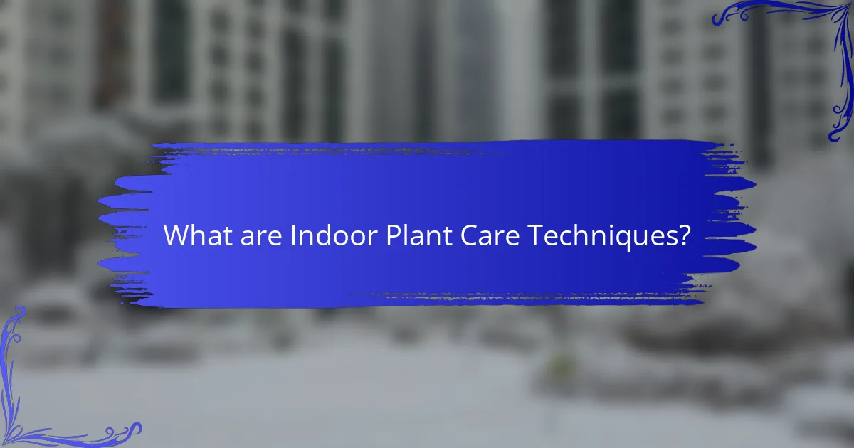 What are Indoor Plant Care Techniques?