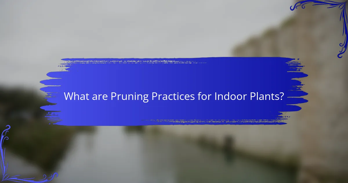 What are Pruning Practices for Indoor Plants?