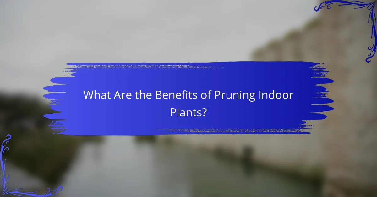 What Are the Benefits of Pruning Indoor Plants?