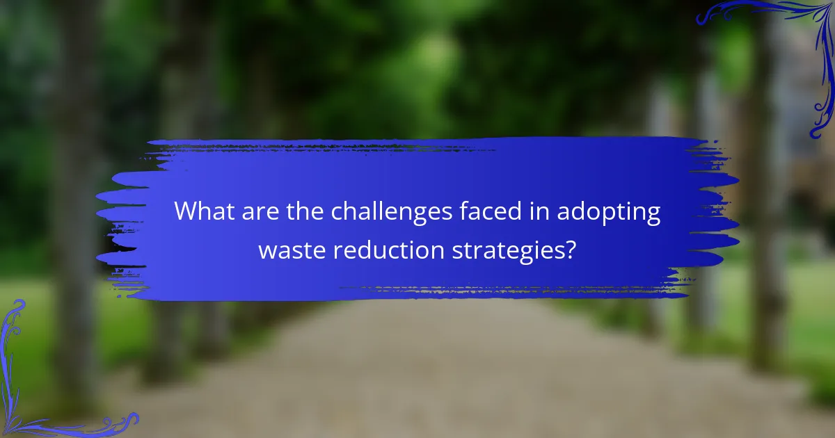 What are the challenges faced in adopting waste reduction strategies?