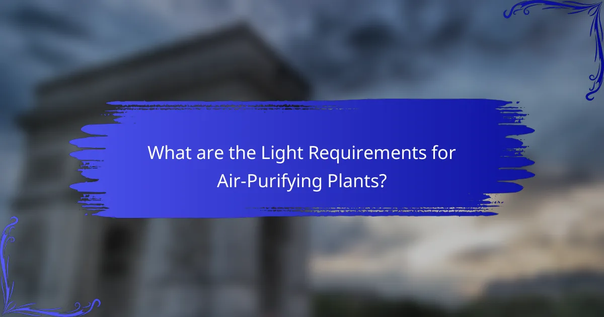 What are the Light Requirements for Air-Purifying Plants?