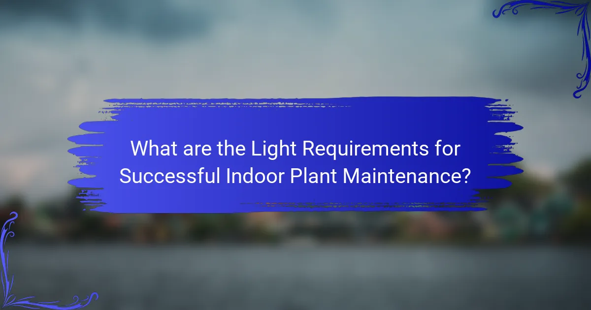 What are the Light Requirements for Successful Indoor Plant Maintenance?