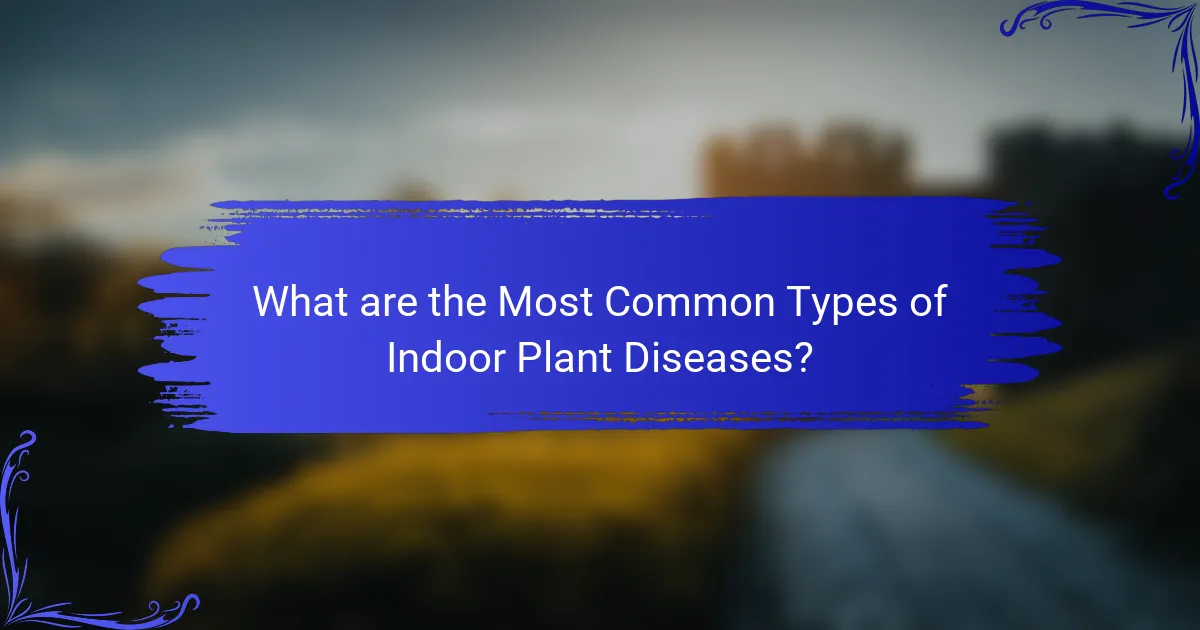 What are the Most Common Types of Indoor Plant Diseases?