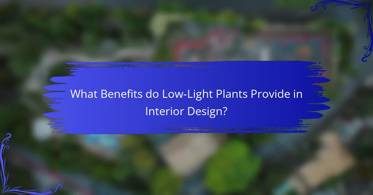 What Benefits do Low-Light Plants Provide in Interior Design?