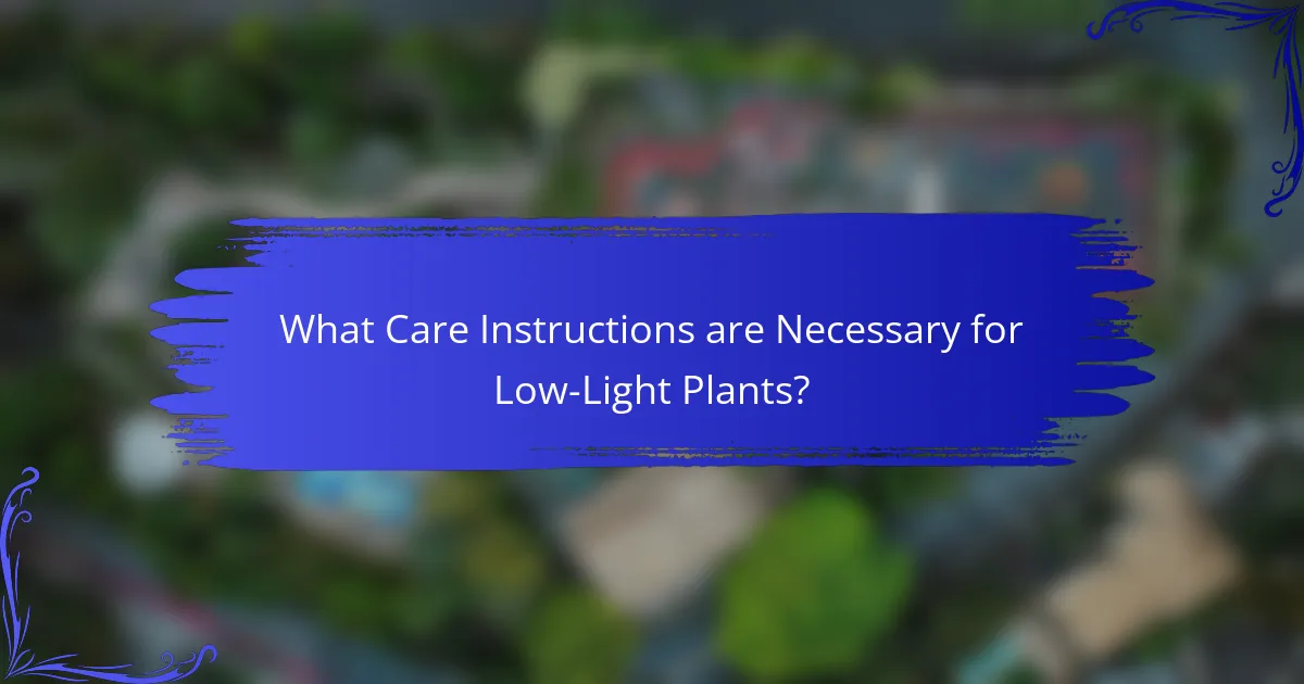 What Care Instructions are Necessary for Low-Light Plants?