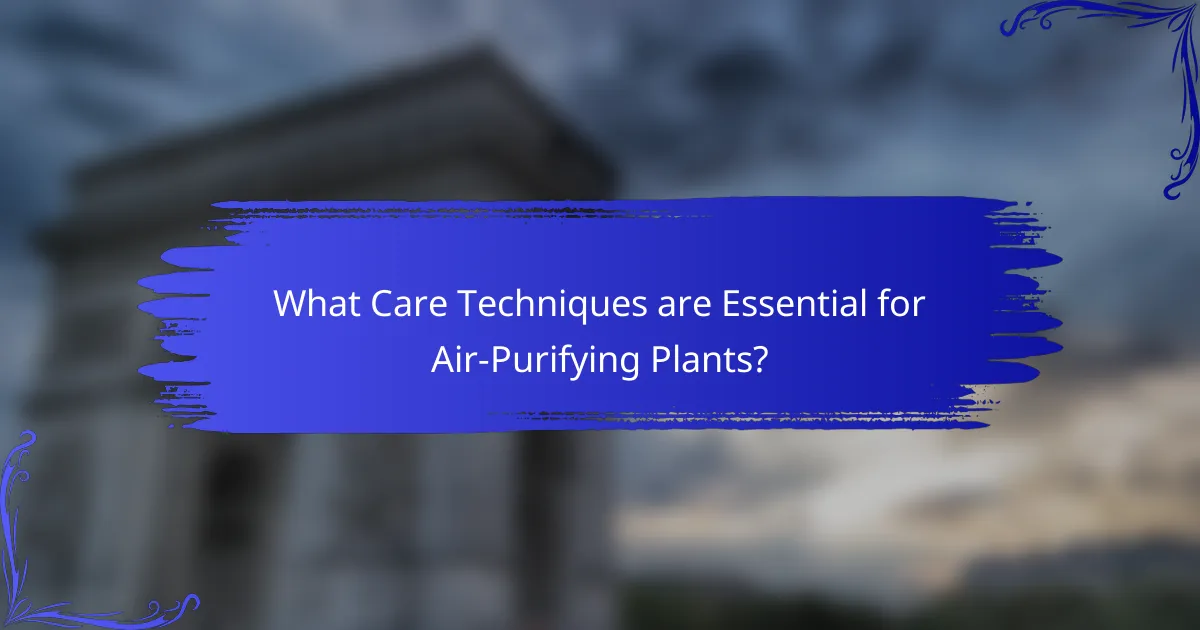 What Care Techniques are Essential for Air-Purifying Plants?