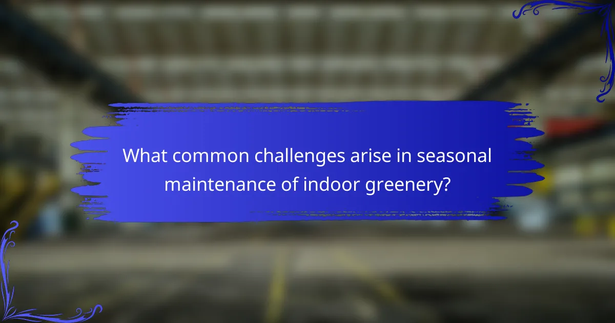 What common challenges arise in seasonal maintenance of indoor greenery?