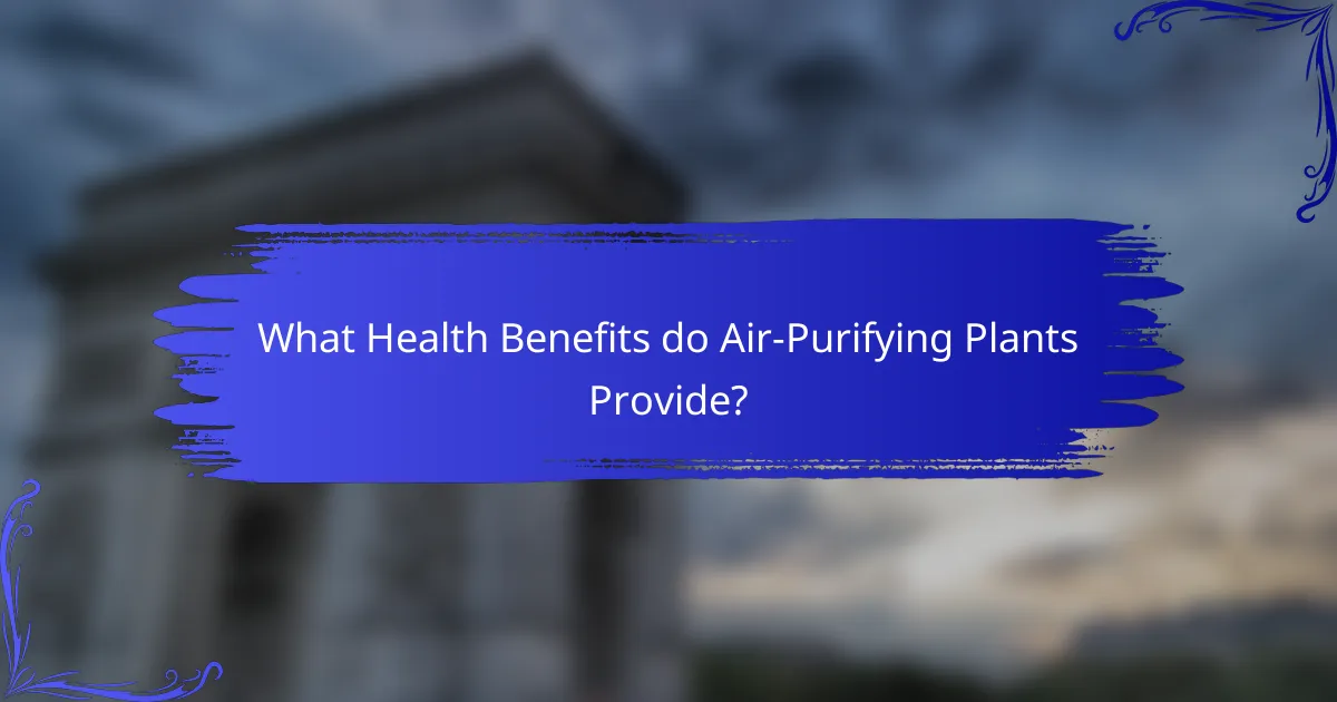 What Health Benefits do Air-Purifying Plants Provide?